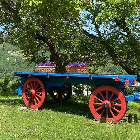 Agriturismo Popolano Di Sotto マッラーディ エクステリア 写真
