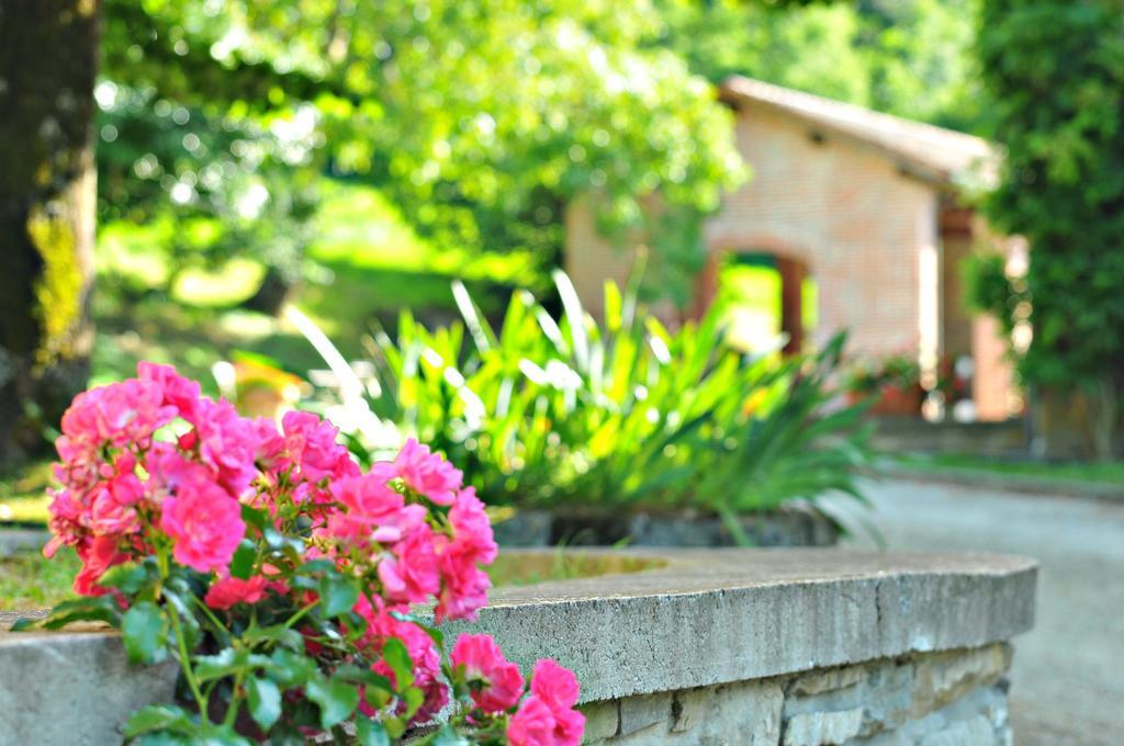 Agriturismo Popolano Di Sotto マッラーディ エクステリア 写真