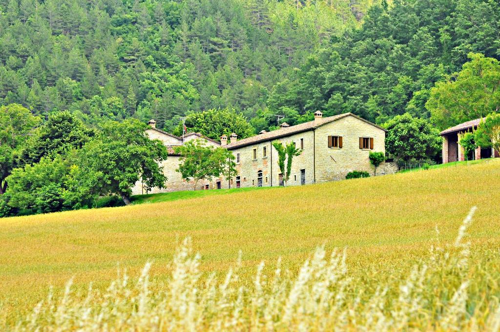 Agriturismo Popolano Di Sotto マッラーディ エクステリア 写真