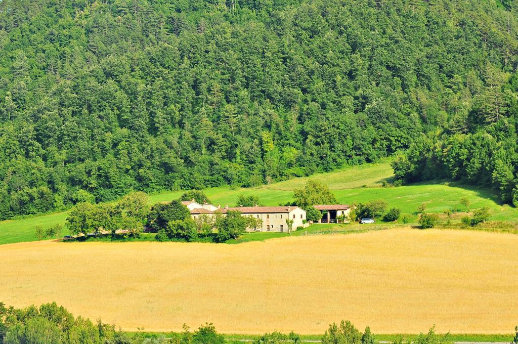 Agriturismo Popolano Di Sotto マッラーディ エクステリア 写真