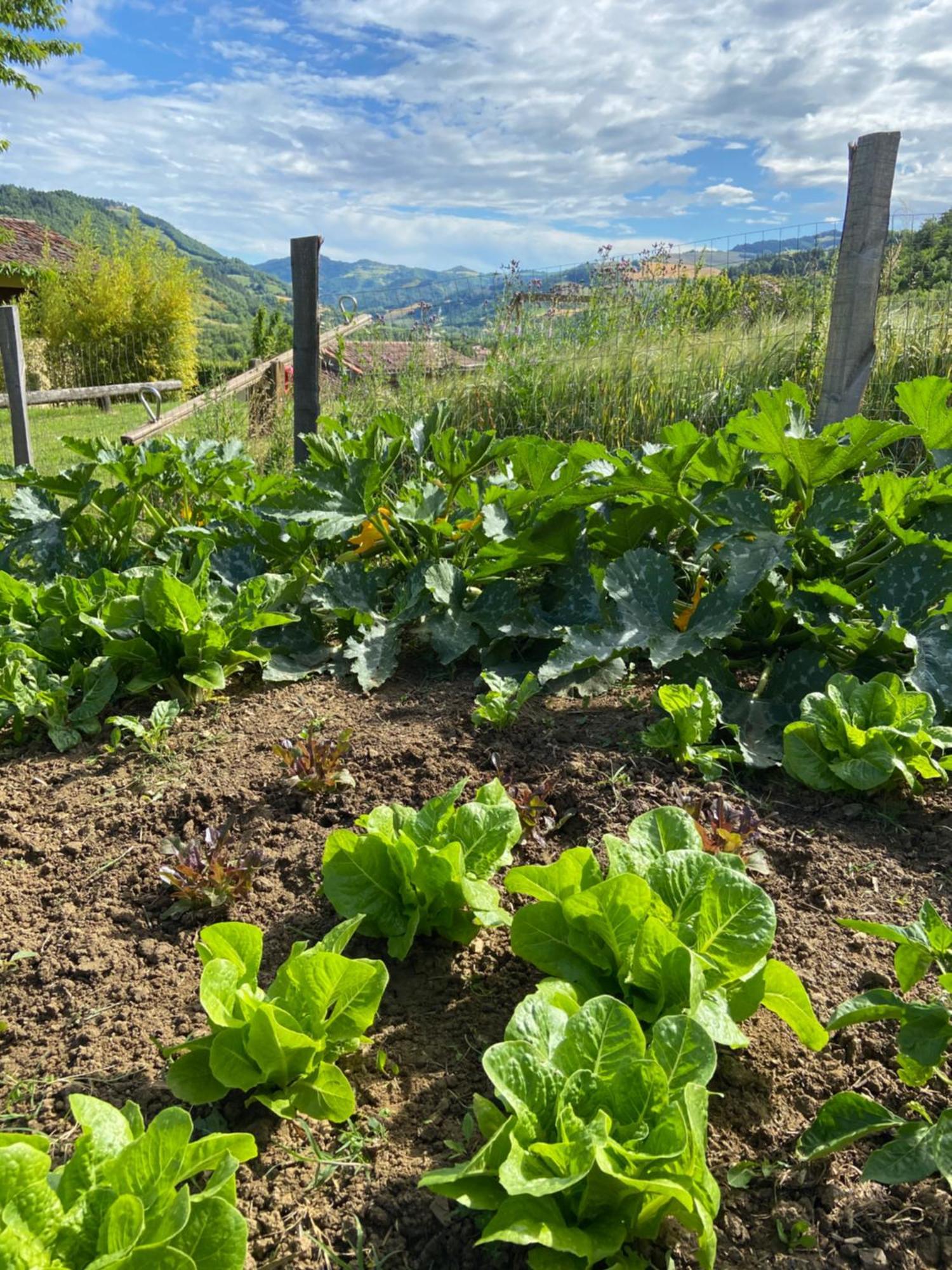 Agriturismo Popolano Di Sotto マッラーディ エクステリア 写真