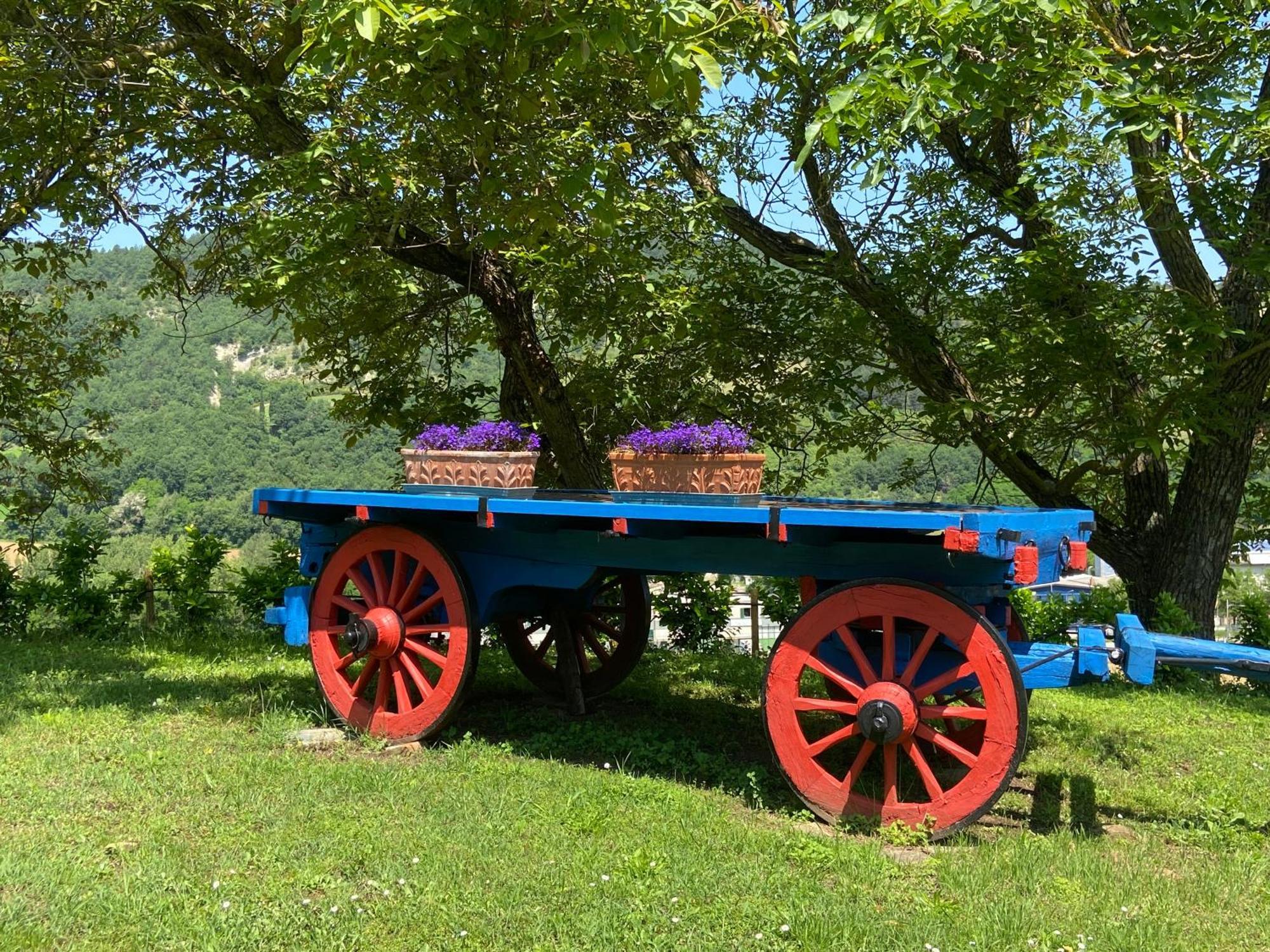 Agriturismo Popolano Di Sotto マッラーディ エクステリア 写真