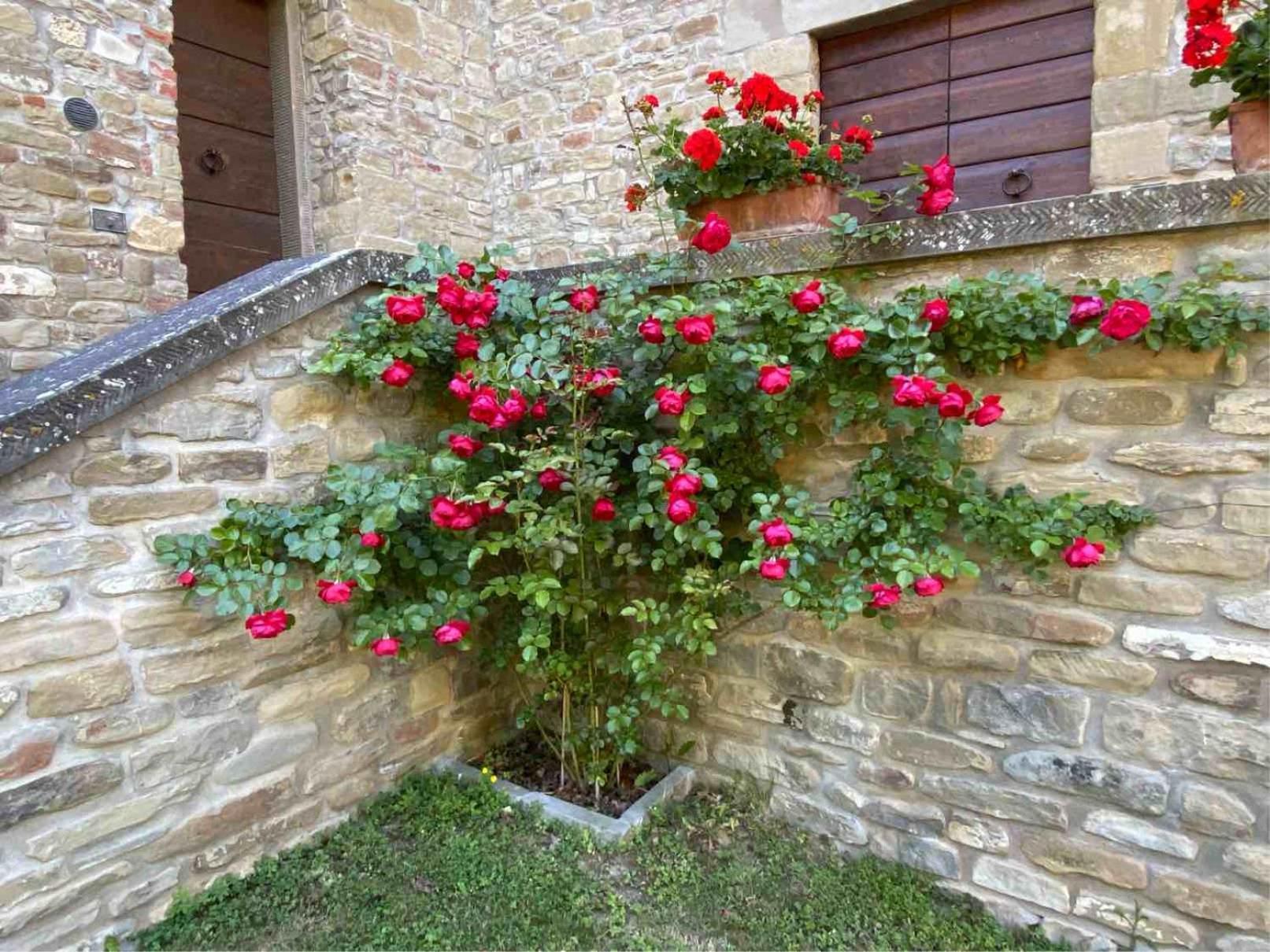 Agriturismo Popolano Di Sotto マッラーディ エクステリア 写真