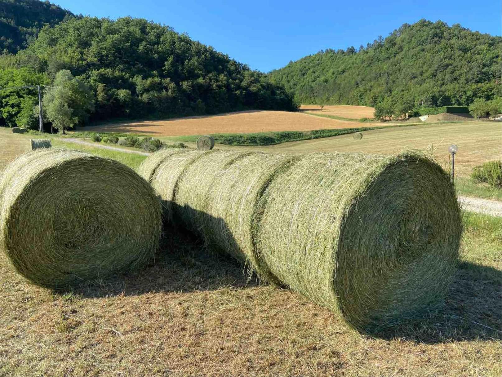 Agriturismo Popolano Di Sotto マッラーディ エクステリア 写真