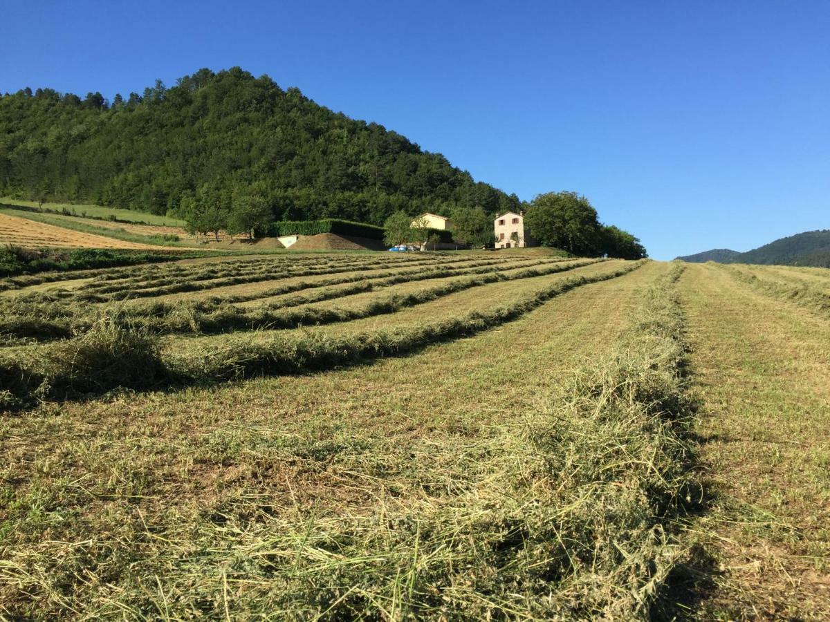 Agriturismo Popolano Di Sotto マッラーディ エクステリア 写真